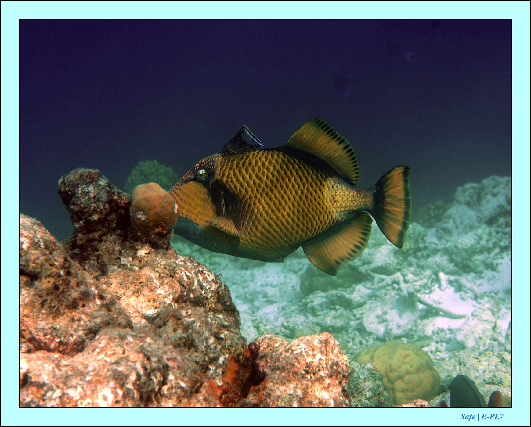 2023 - 07 - Sandies Bathala - 156